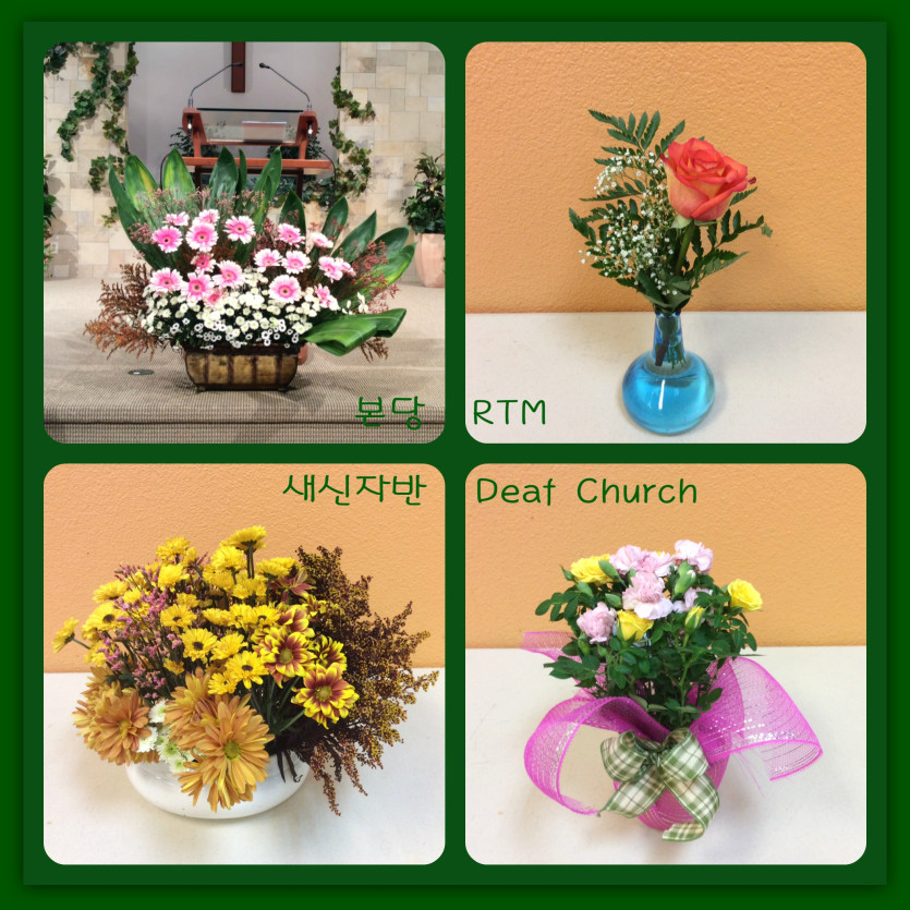 flowers.jpg