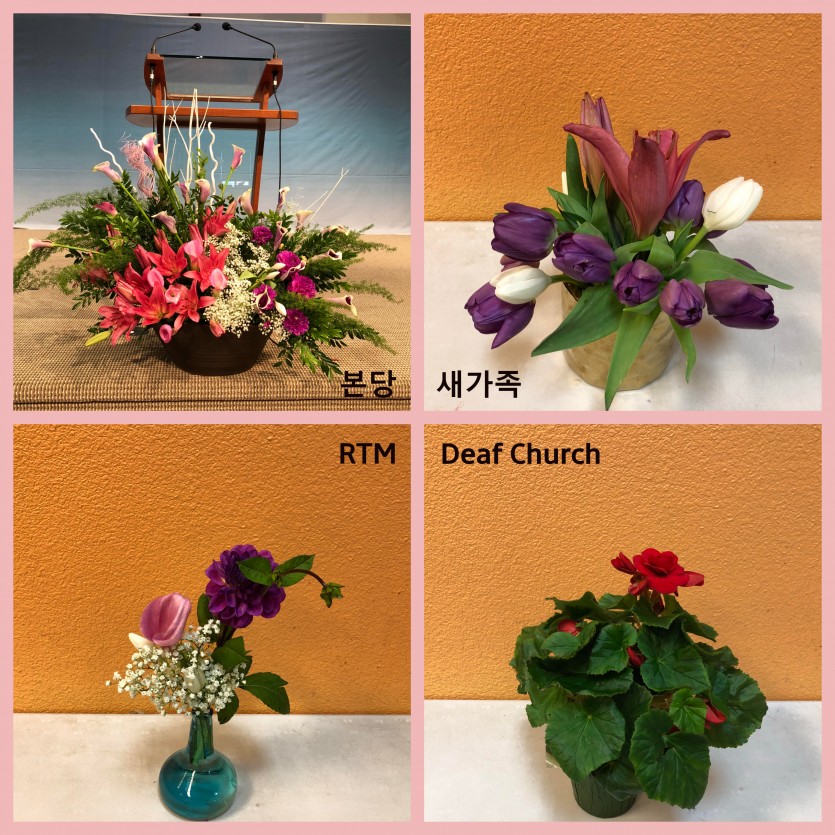 090918_Four_Flower.jpg