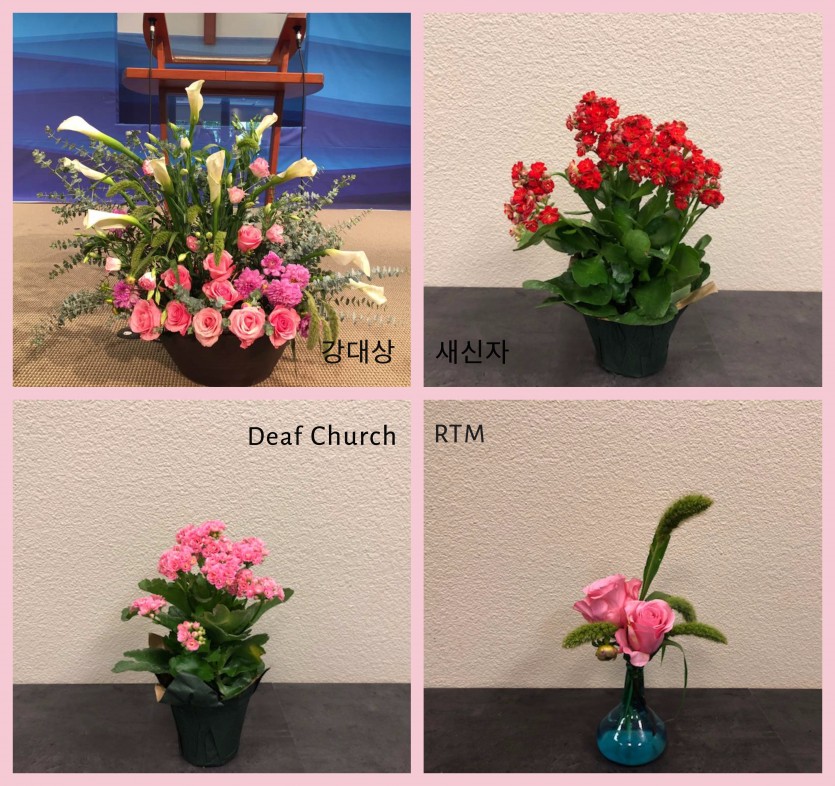 collage_072119-2.jpg