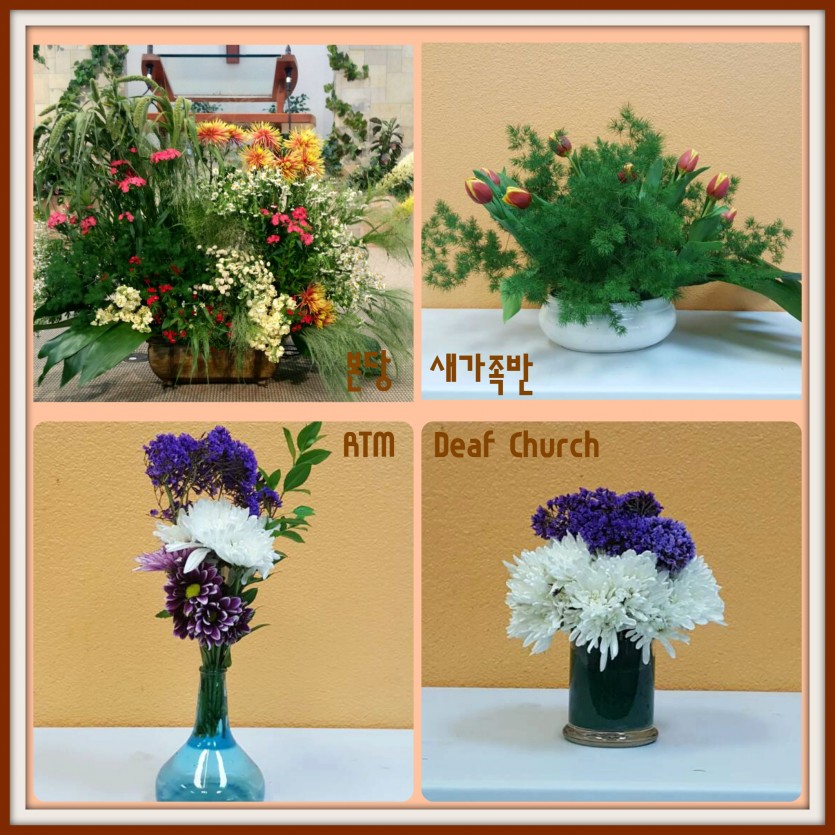 flowers.jpg