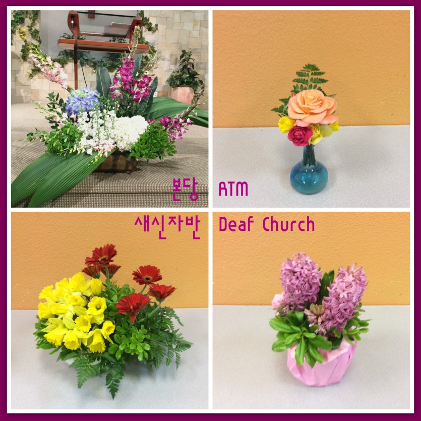 flowers.jpg