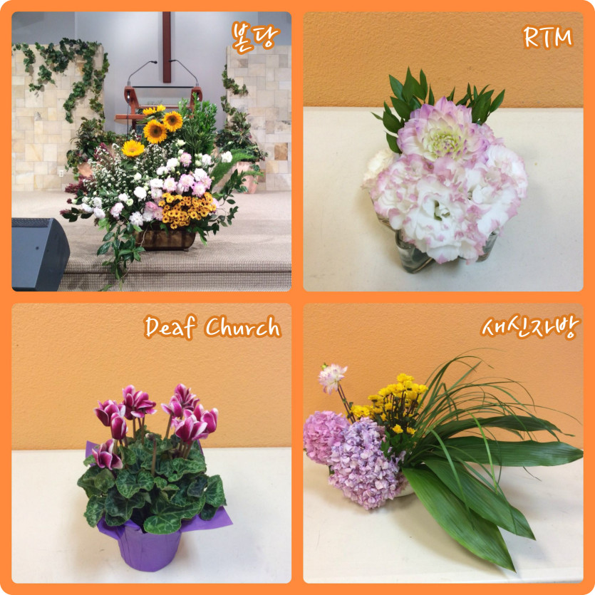 flowers.jpg