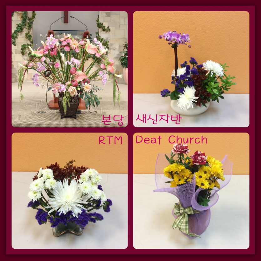 flowers.jpg