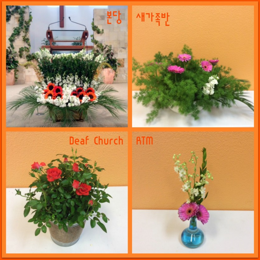 flowers.jpg