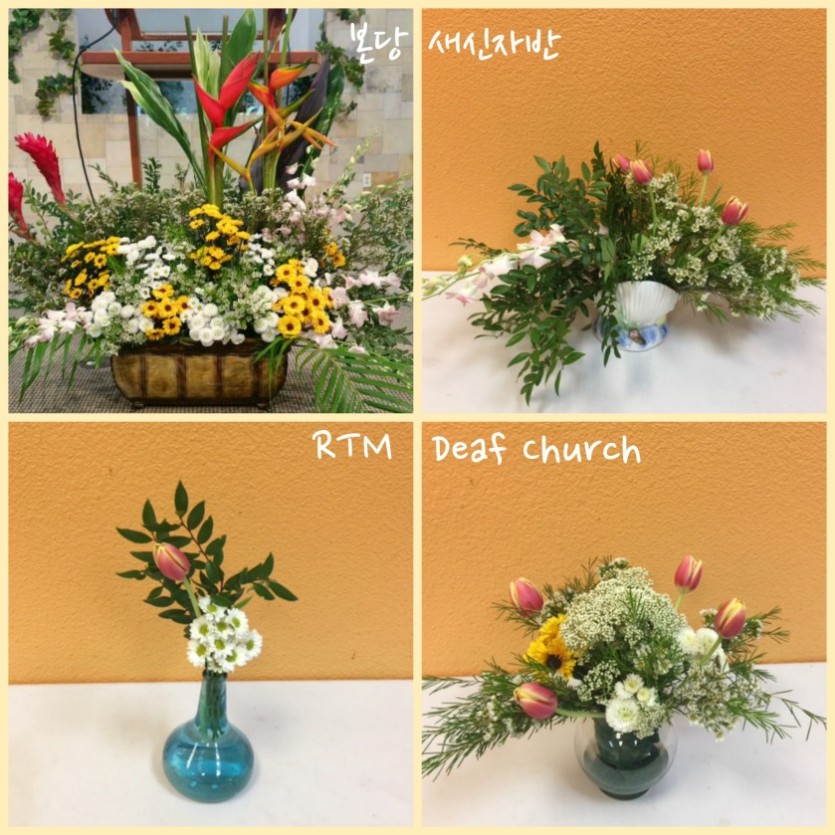 PicMonkey Image.jpg