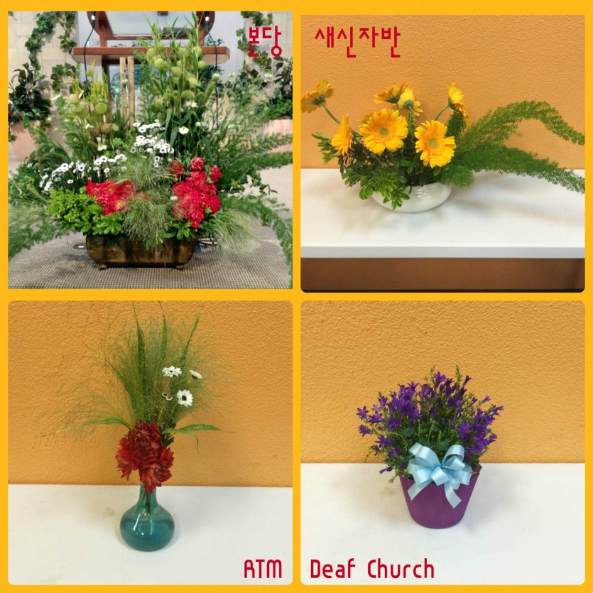 flowers.jpg